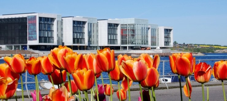 Alsion and SDU Sønderborg on the waterfront